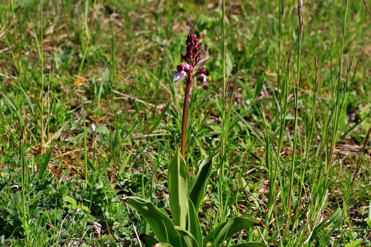 2015_05_04_00018429p_Bildgr��e �ndern