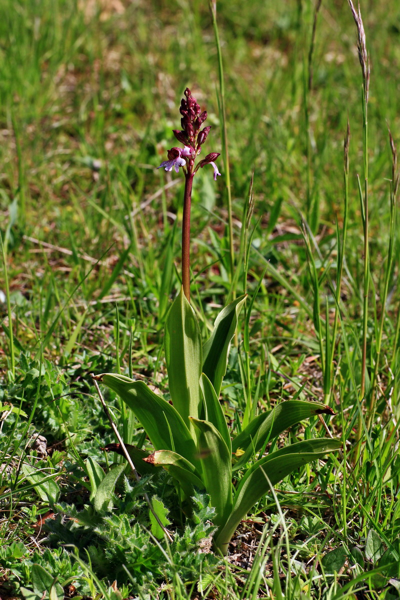 2015_05_04_00018430p_Bildgr��e �ndern