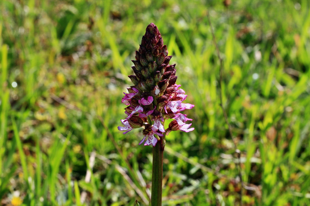 2015_05_04_00018432p_Bildgr��e �ndern