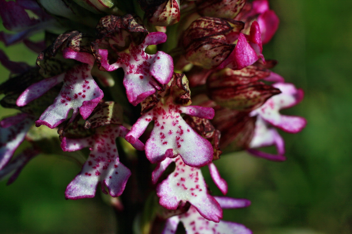 2015_05_04_00018434p_Bildgr��e �ndern