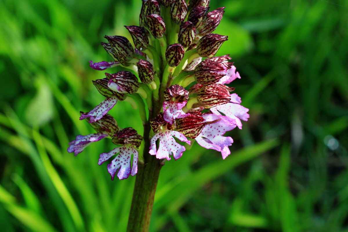 2015_05_04_00018449p_Bildgr��e �ndern