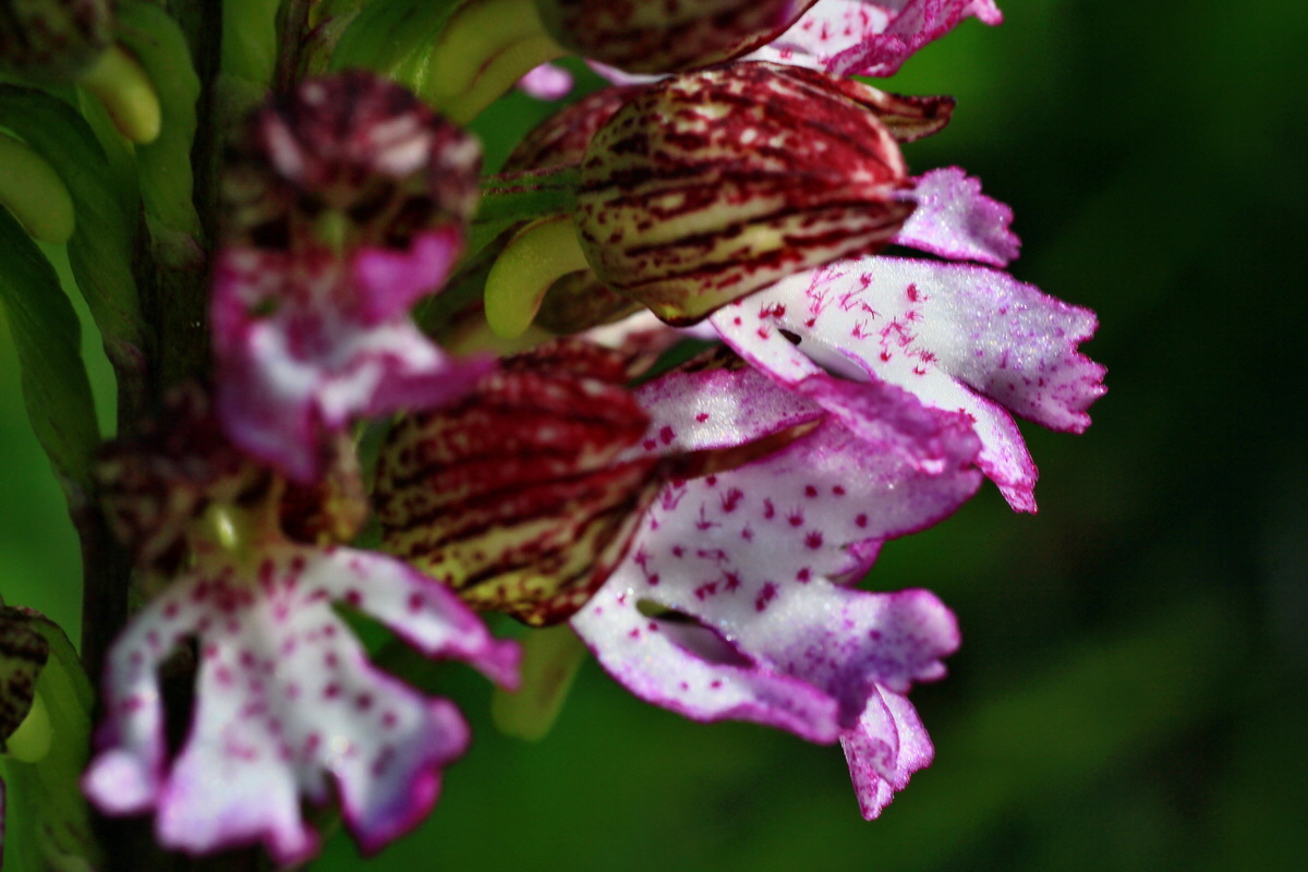 2015_05_04_00018453p_Bildgr��e �ndern