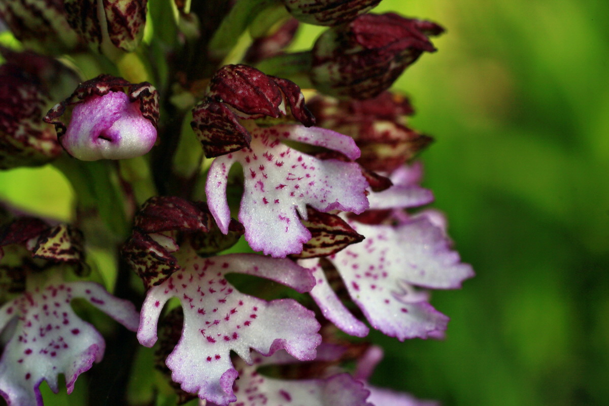 2015_05_04_00018455p_Bildgr��e �ndern