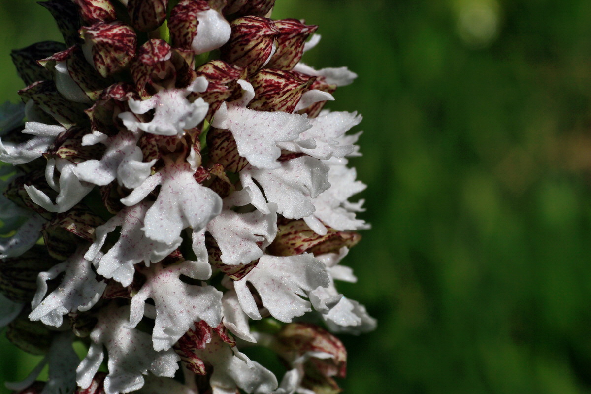 2015_05_04_00018461p_Bildgr��e �ndern