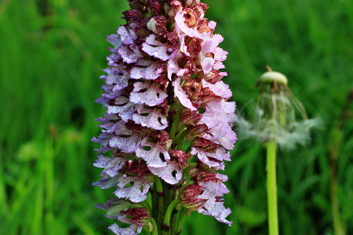 2015_05_04_00018463p_Bildgr��e �ndern