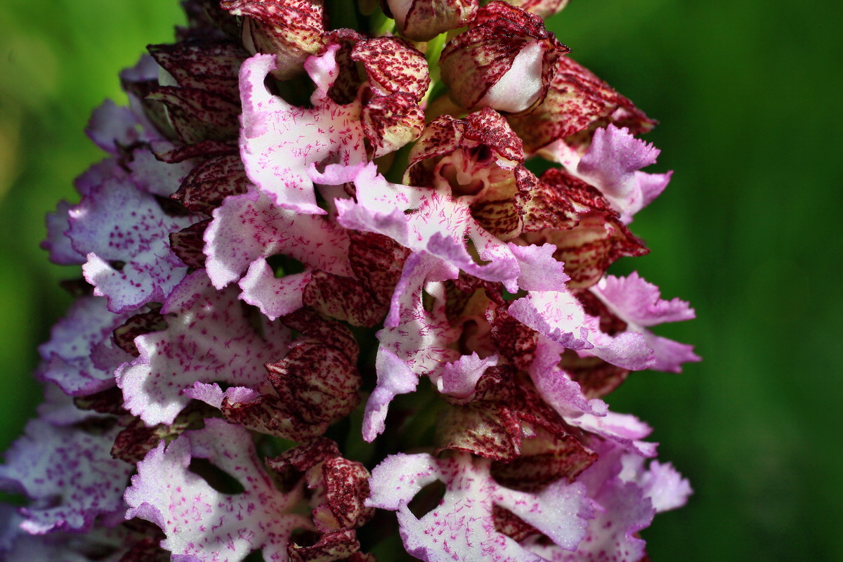 2015_05_04_00018466p_Bildgr��e �ndern