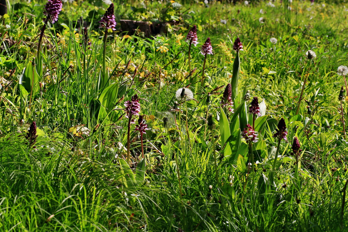 2015_05_04_00018468p_Bildgr��e �ndern