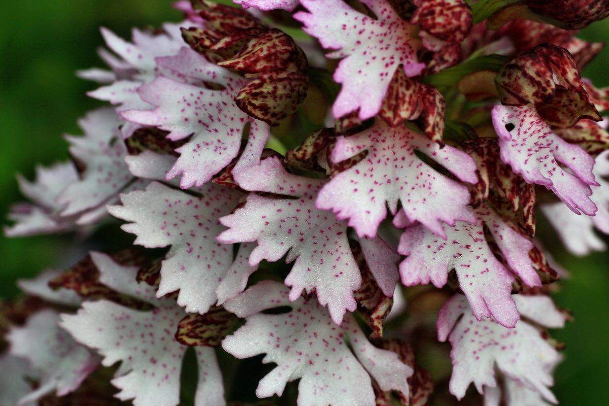 2015_05_04_00018474p_Bildgr��e �ndern