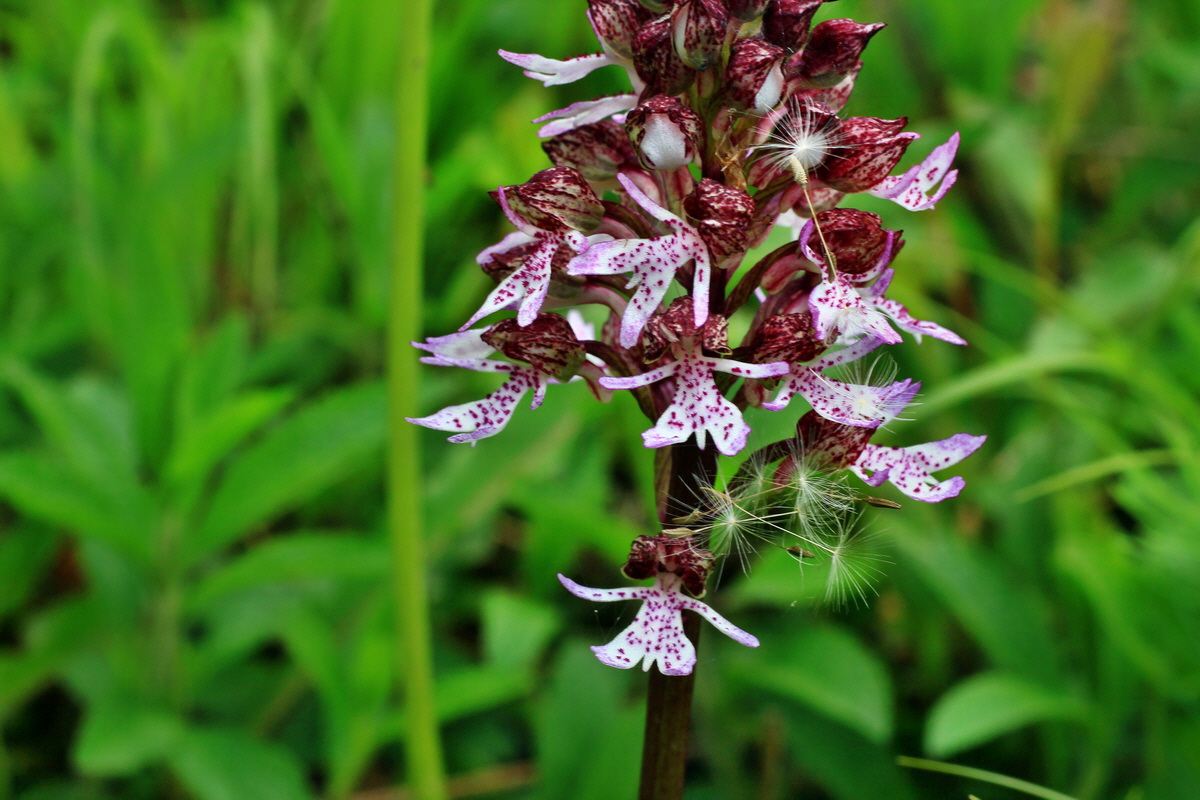 2015_05_04_00018476p_Bildgr��e �ndern