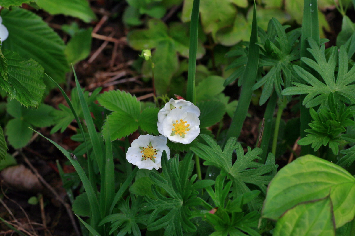 2015_05_04_00018486p_Bildgr��e �ndern