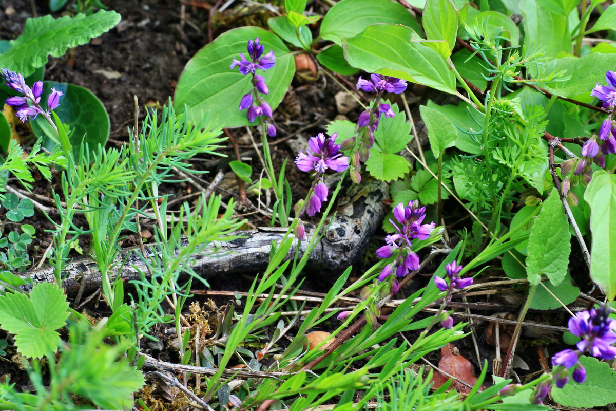 2015_05_04_00018490p_Bildgr��e �ndern