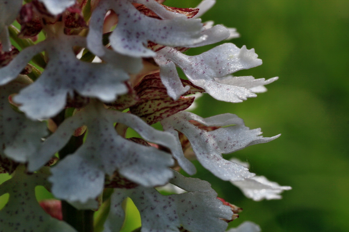 2015_05_04_00018512p_Bildgr��e �ndern