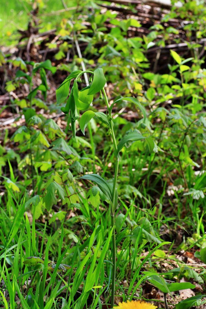 2015_05_04_00018518p_Bildgr��e �ndern