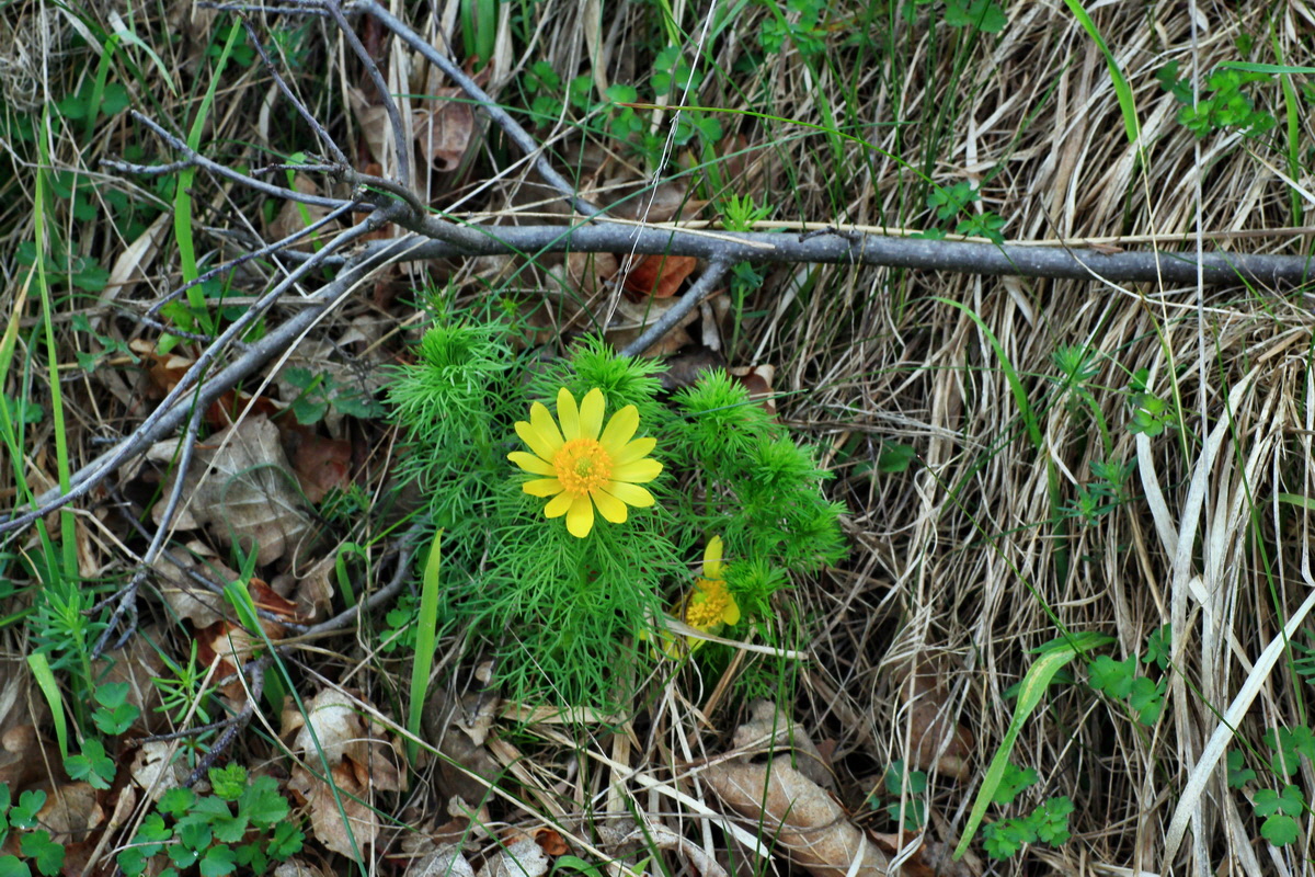 2015_05_05_00018521p_Bildgr��e �ndern