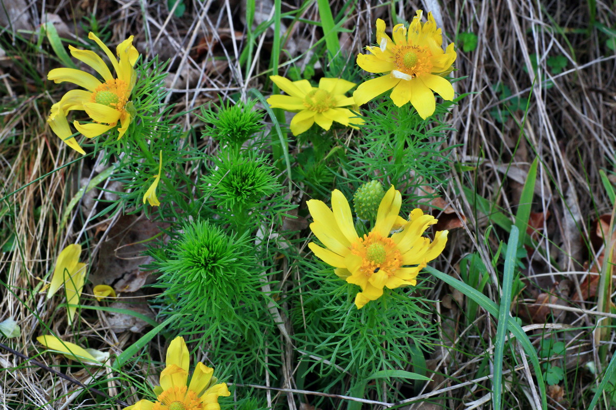 2015_05_05_00018523p_Bildgr��e �ndern