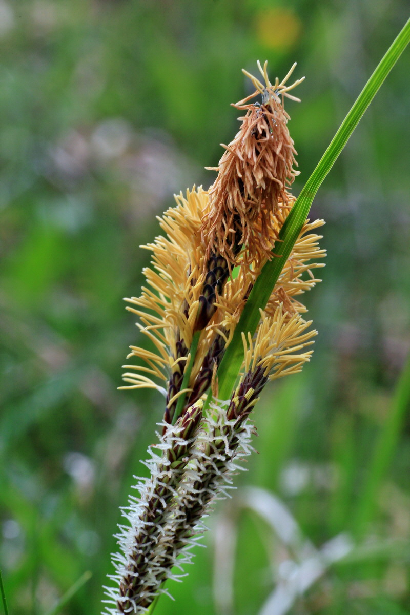 2015_05_05_00018534p_Bildgr��e �ndern