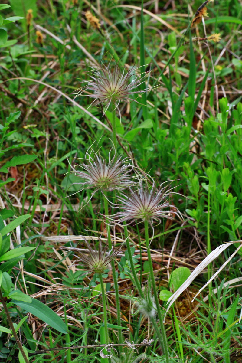 2015_05_05_00018544p_Bildgr��e �ndern