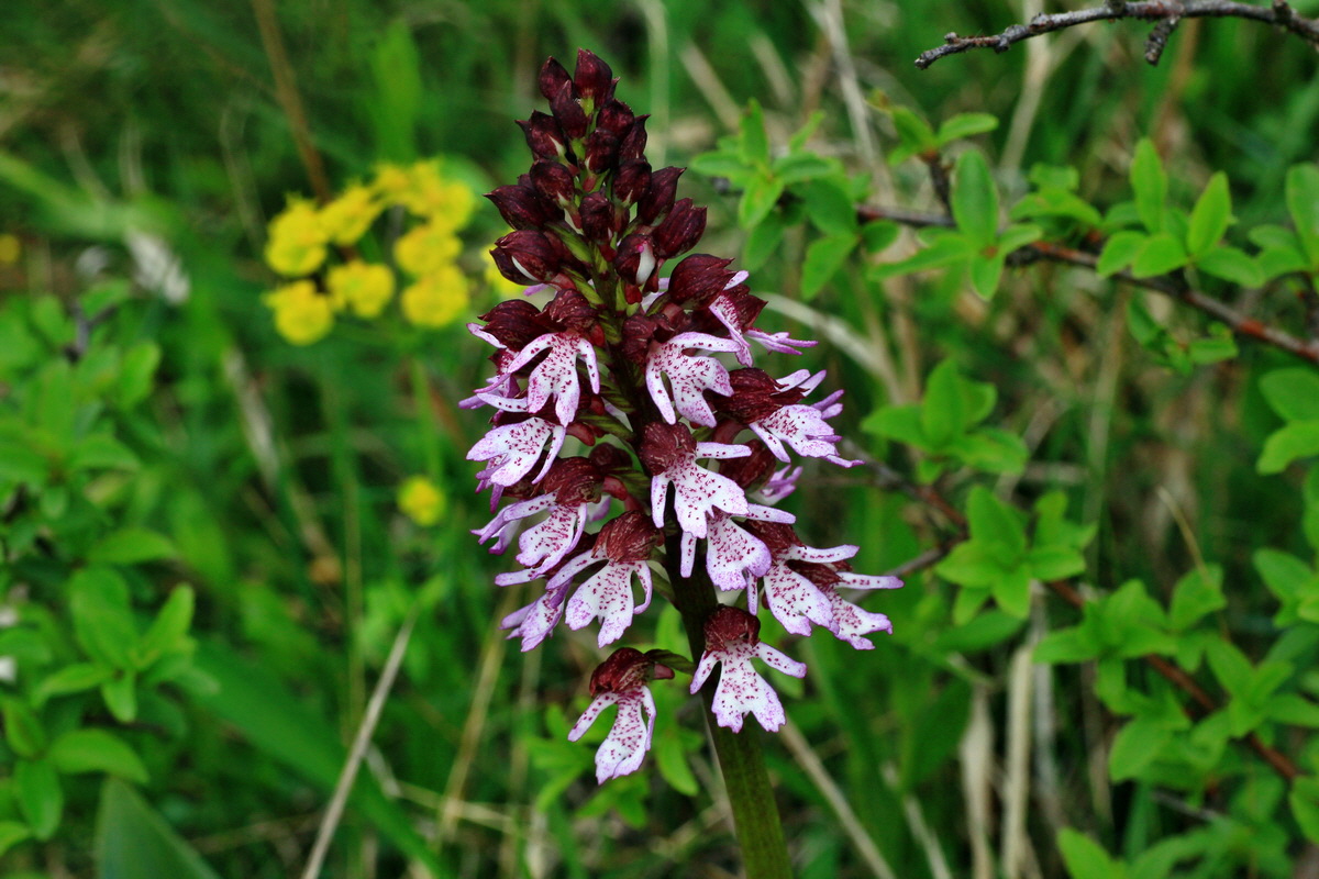 2015_05_05_00018554p_Bildgr��e �ndern