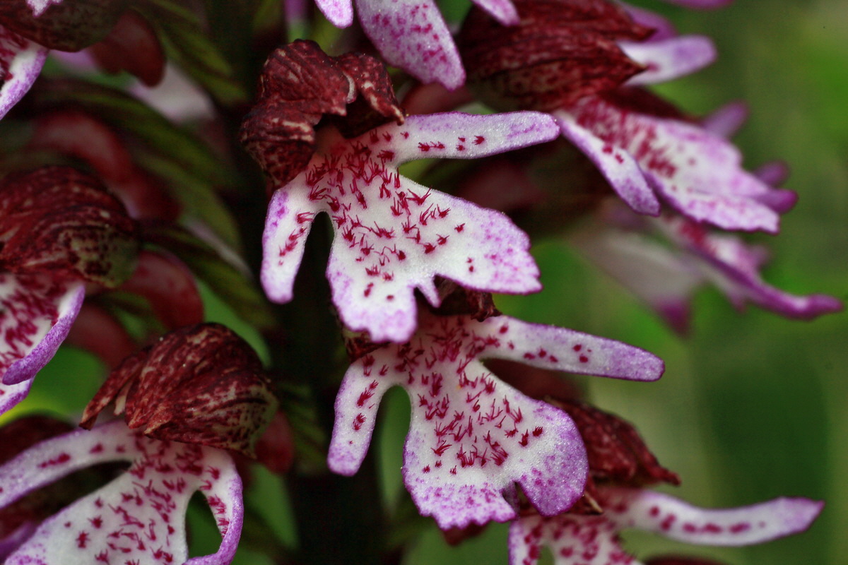 2015_05_05_00018556p_Bildgr��e �ndern