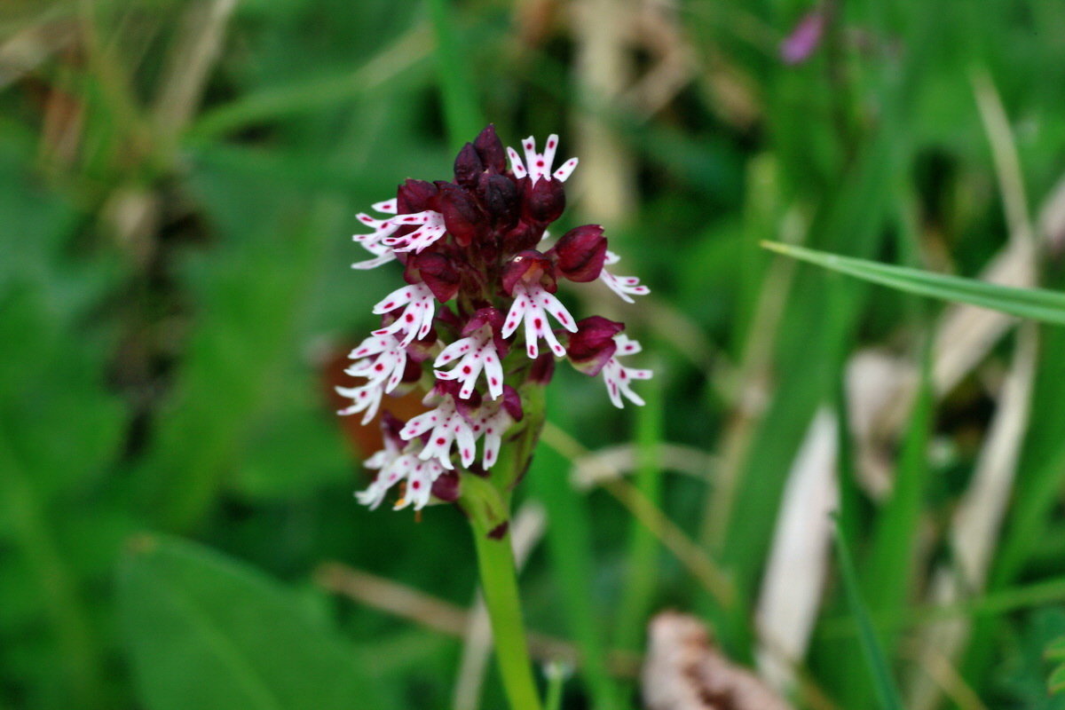 2015_05_05_00018559p_Bildgr��e �ndern