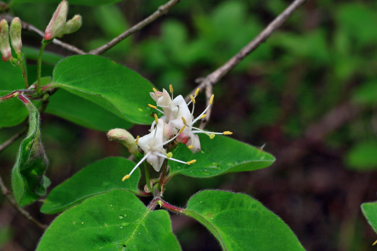 2015_05_05_00018566p_Bildgr��e �ndern