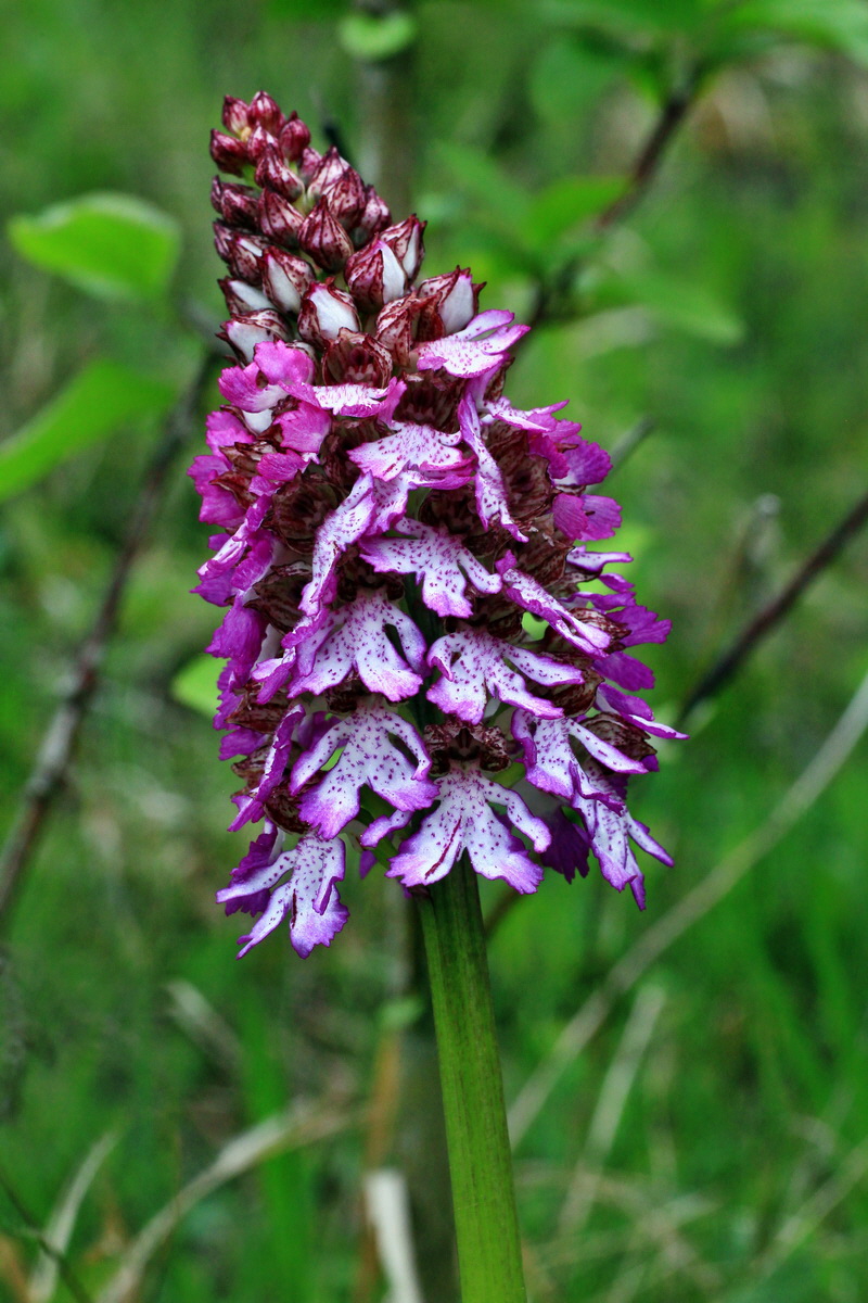 2015_05_05_00018573p_Bildgr��e �ndern