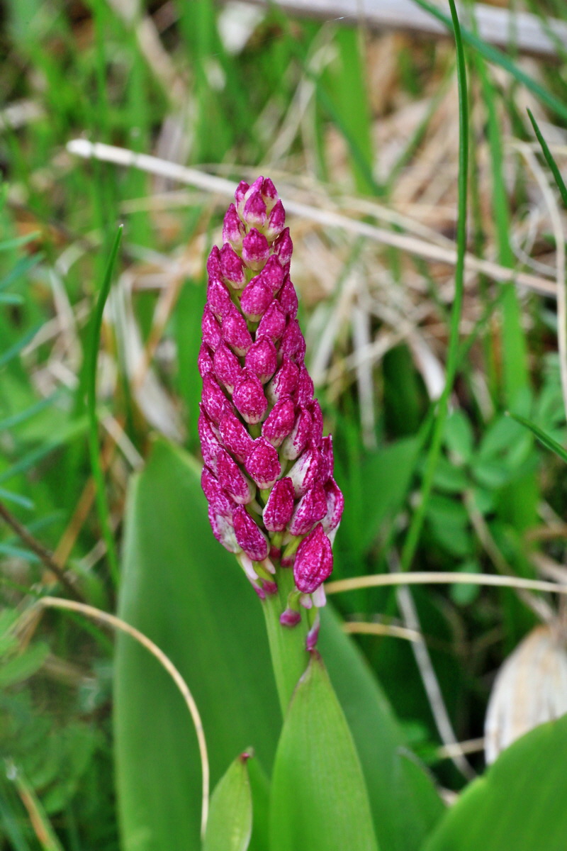 2015_05_05_00018575p_Bildgr��e �ndern