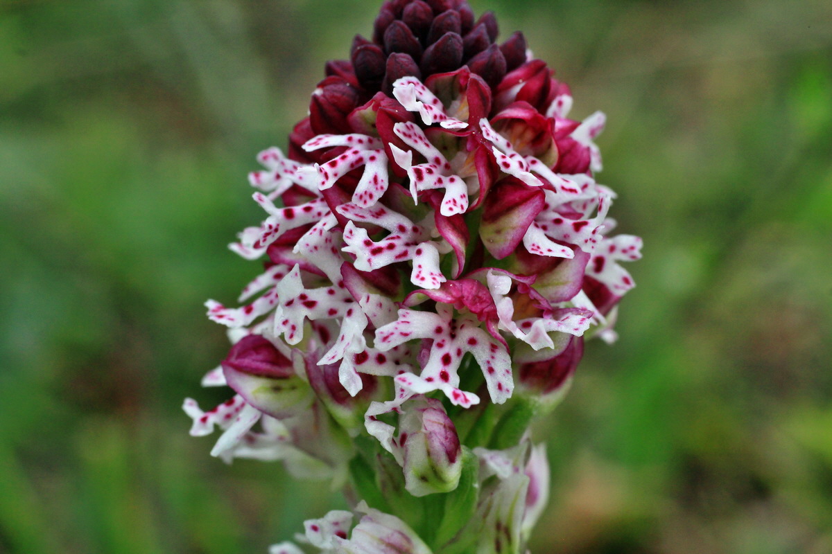 2015_05_05_00018577p_Bildgr��e �ndern