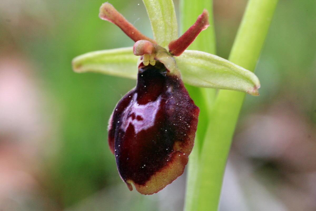 2015_05_05_00018589p_Bildgr��e �ndern