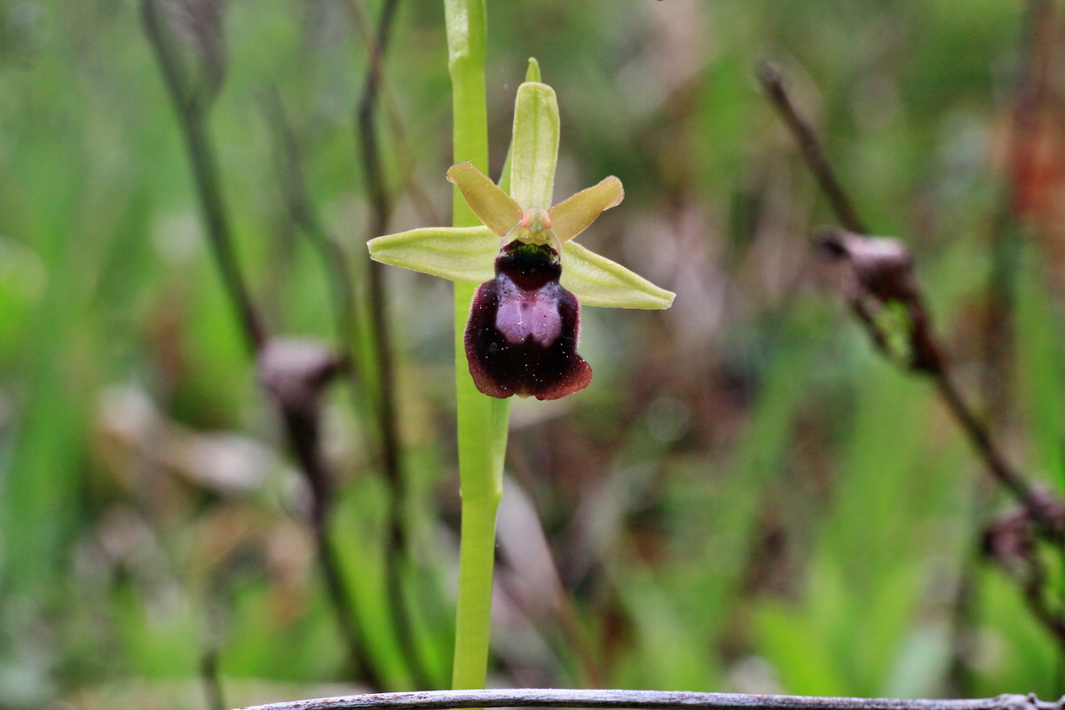 2015_05_05_00018593p_Bildgr��e �ndern