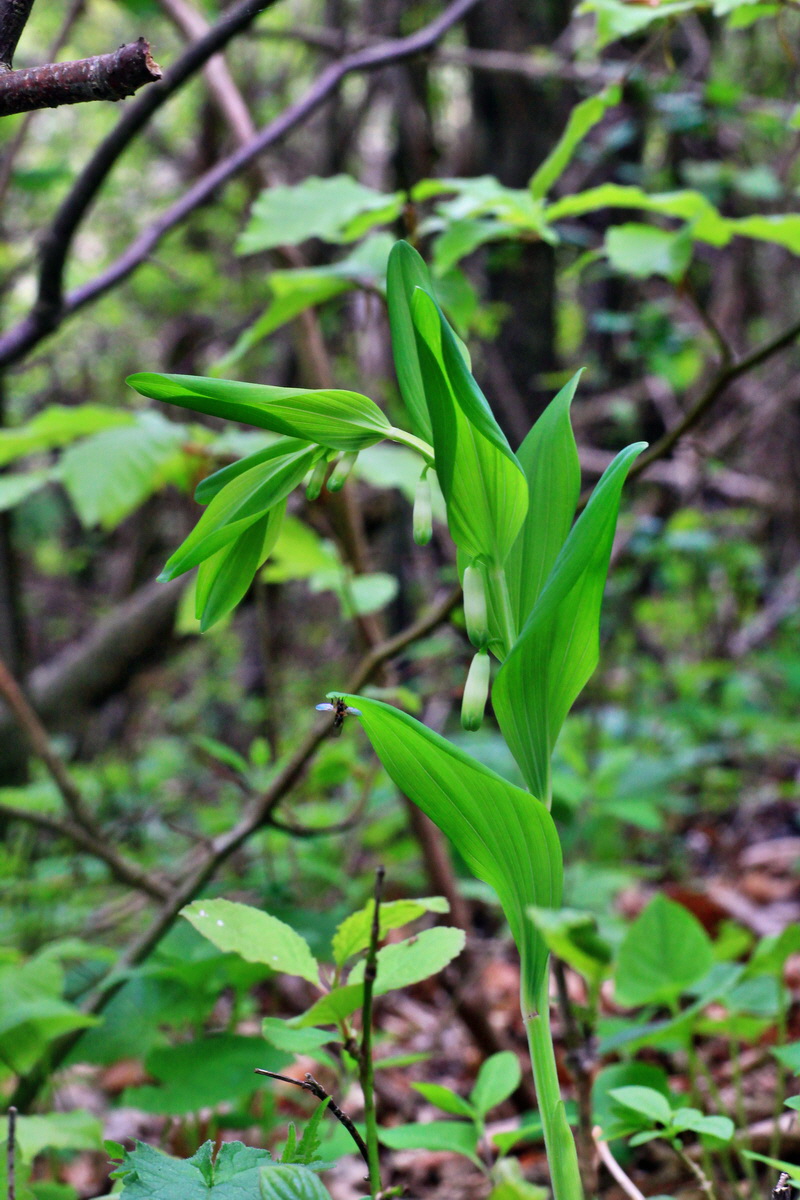 2015_05_05_00018599p_Bildgr��e �ndern