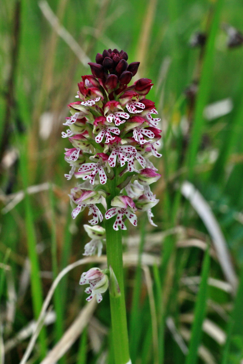 2015_05_05_00018601p_Bildgr��e �ndern