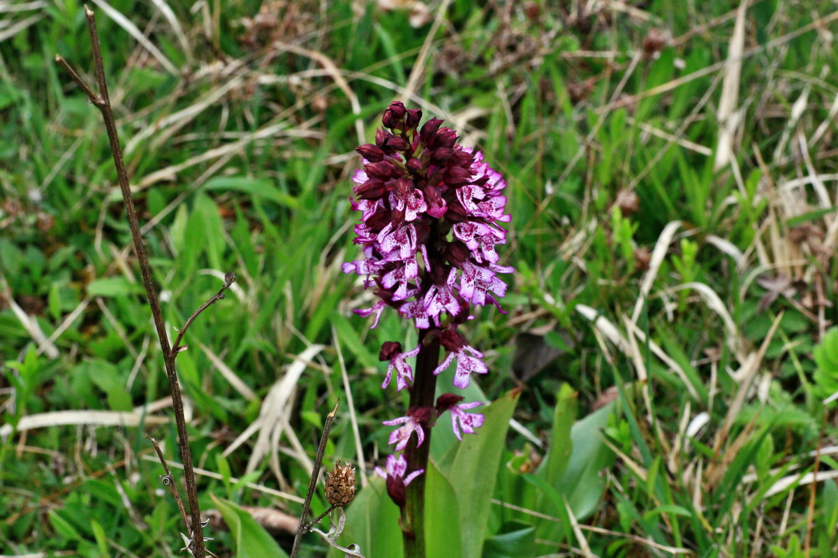 2015_05_05_00018611p_Bildgr��e �ndern