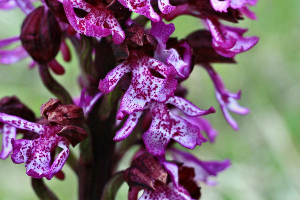 2015_05_05_00018613p_Bildgr��e �ndern