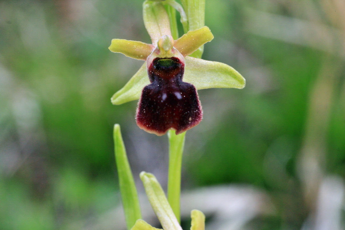 2015_05_05_00018615p_Bildgr��e �ndern