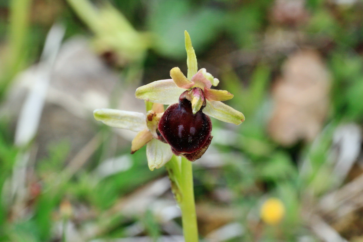 2015_05_05_00018618p_Bildgr��e �ndern