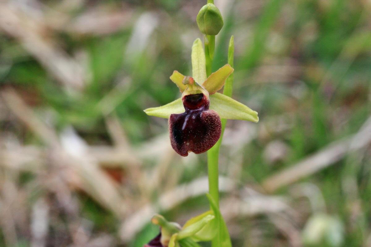 2015_05_05_00018620p_Bildgr��e �ndern