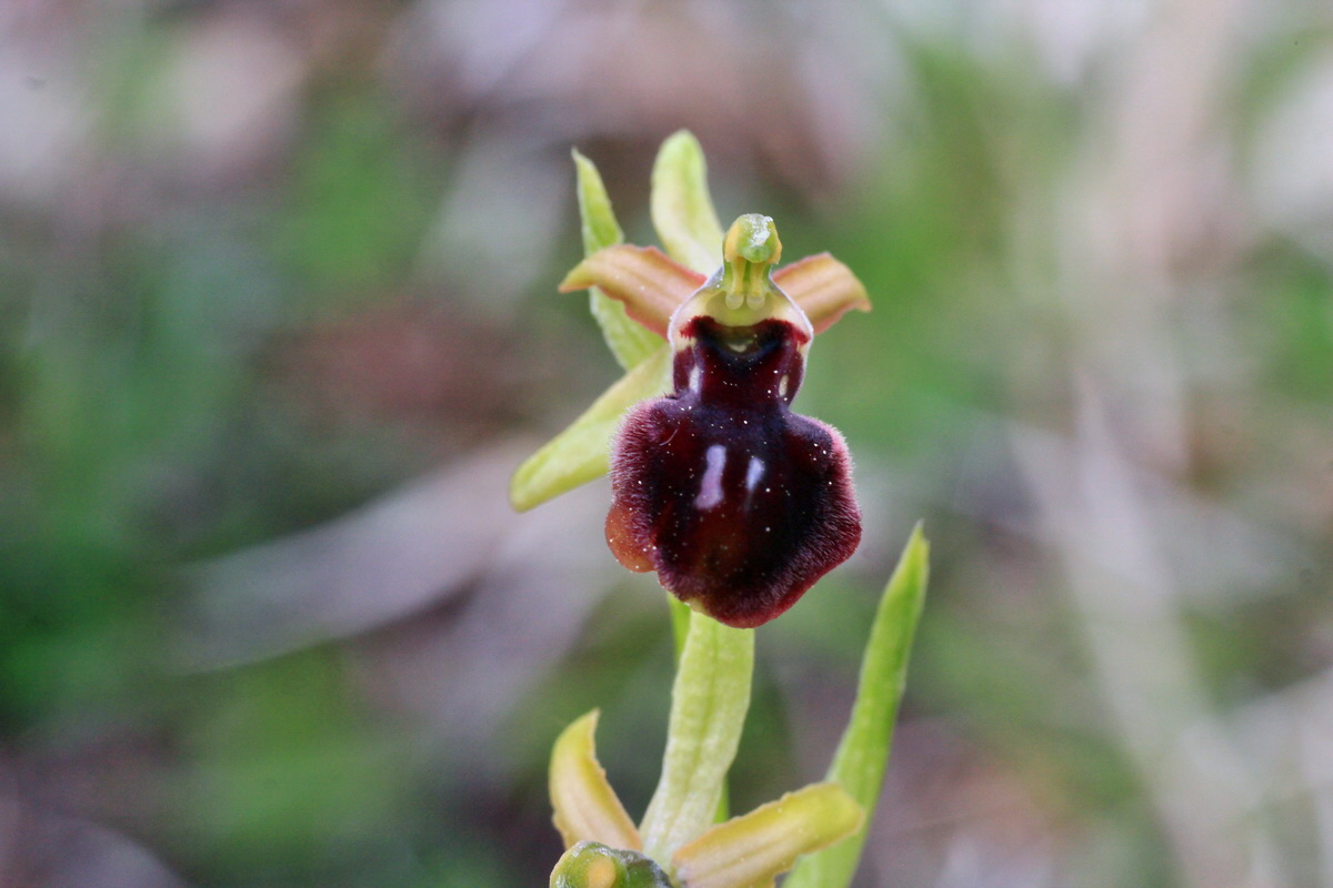 2015_05_05_00018624p_Bildgr��e �ndern