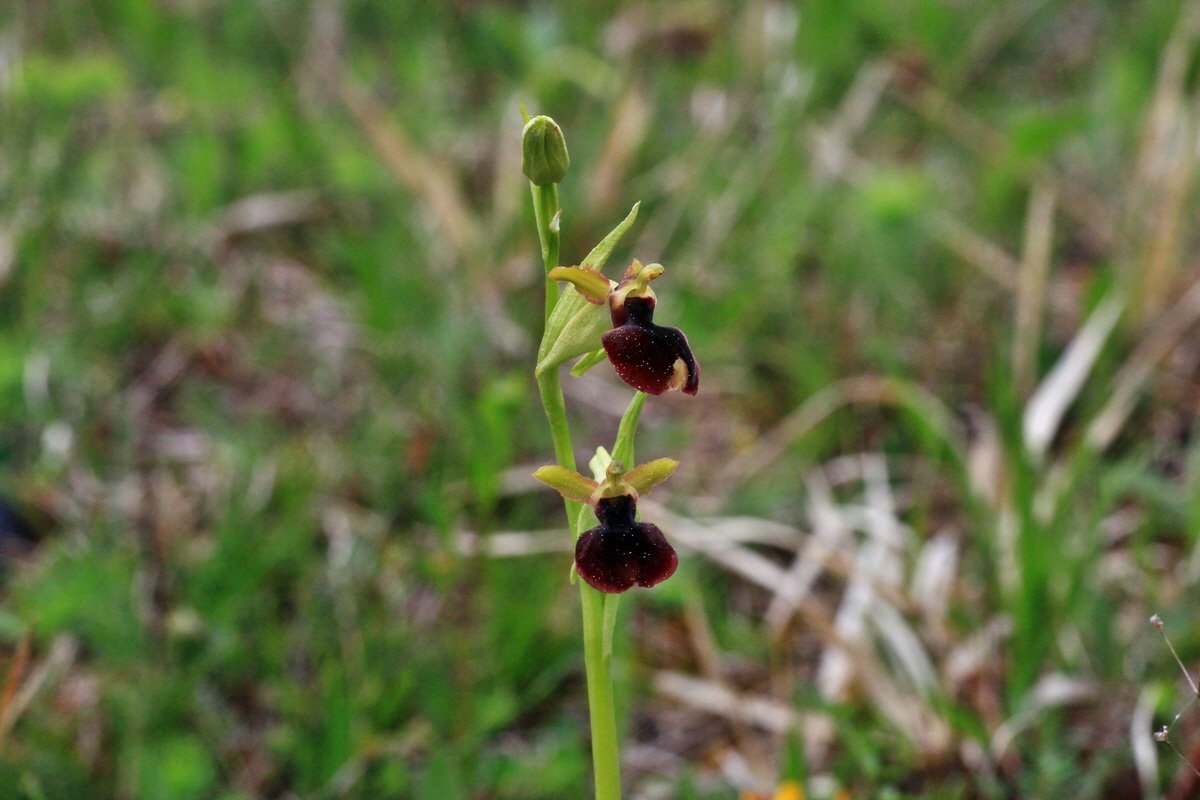 2015_05_05_00018626p_Bildgr��e �ndern