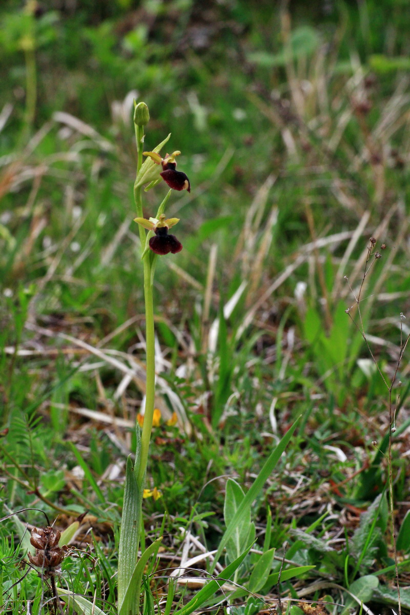 2015_05_05_00018628p_Bildgr��e �ndern