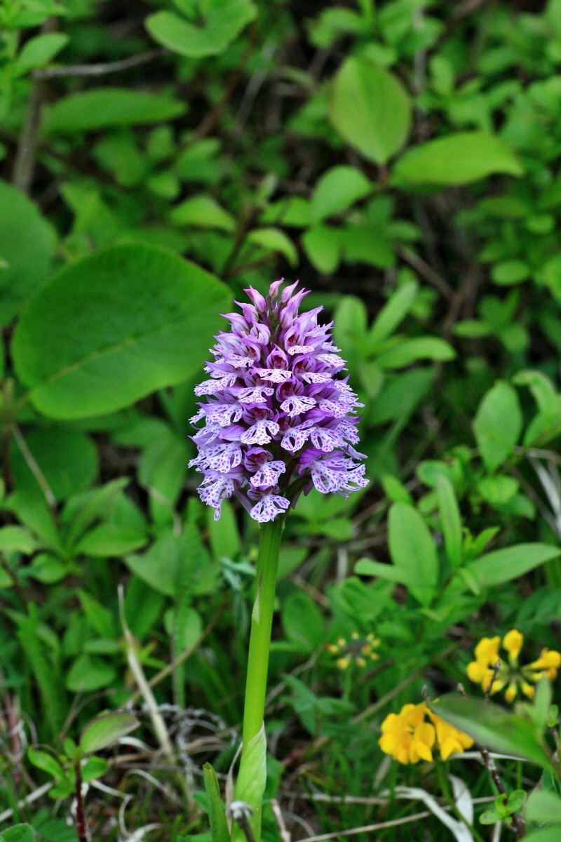 2015_05_05_00018630p_Bildgr��e �ndern