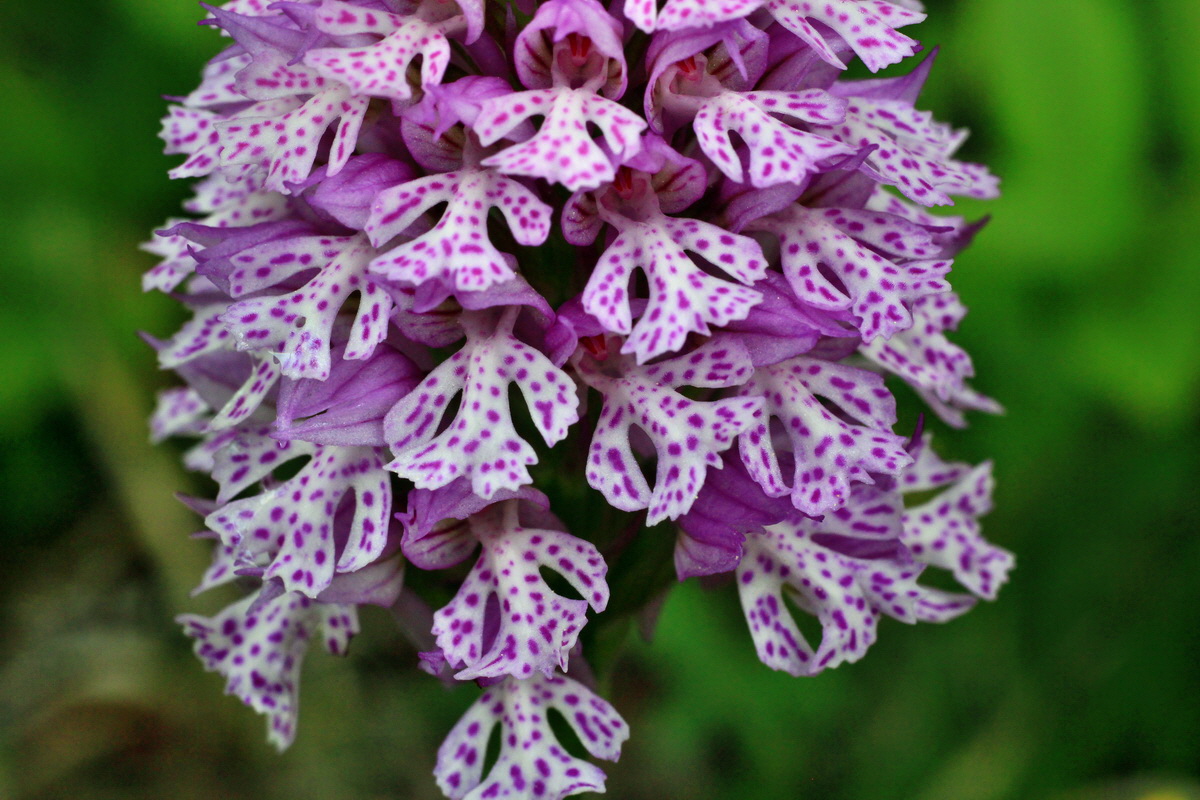 2015_05_05_00018633p_Bildgr��e �ndern