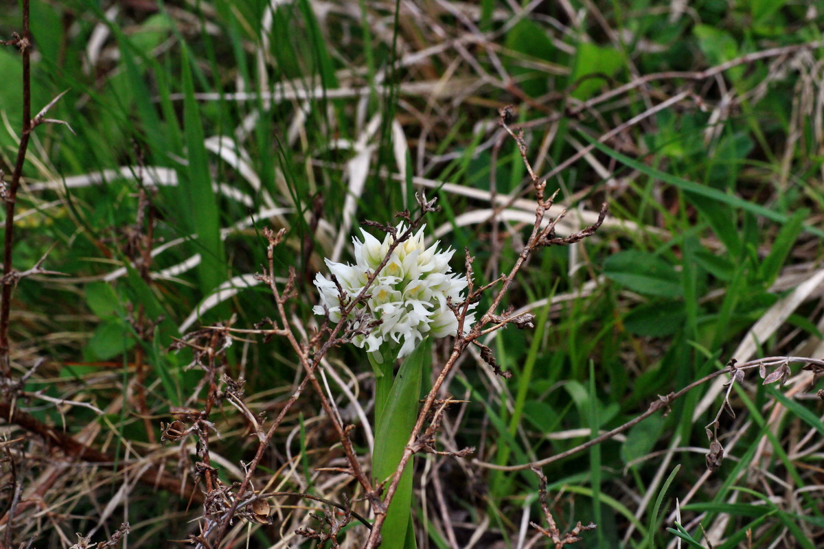 2015_05_05_00018636p_Bildgr��e �ndern