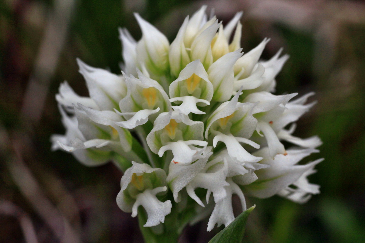 2015_05_05_00018639p_Bildgr��e �ndern