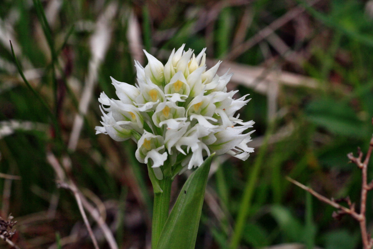 2015_05_05_00018643p_Bildgr��e �ndern