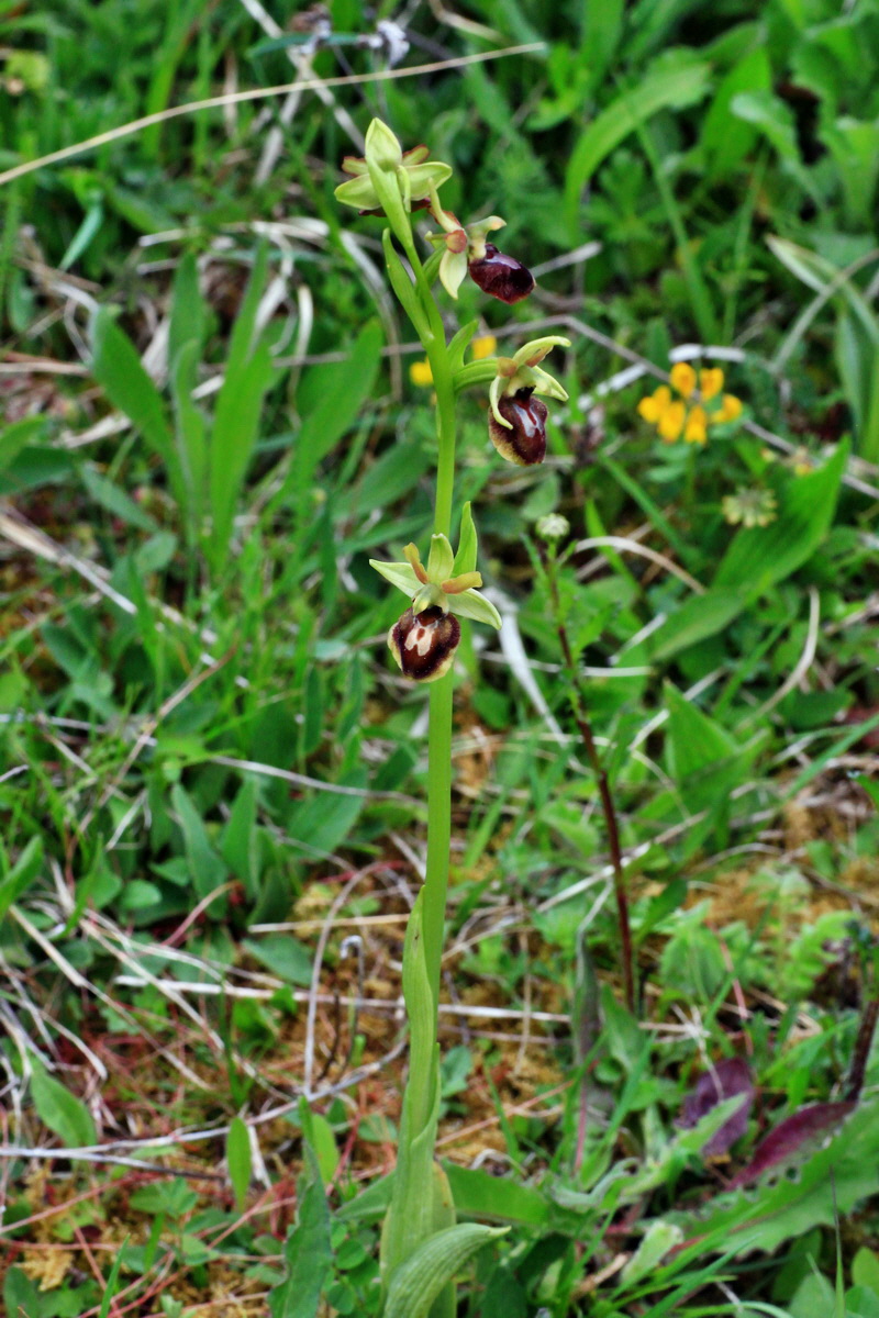 2015_05_05_00018656p_Bildgr��e �ndern