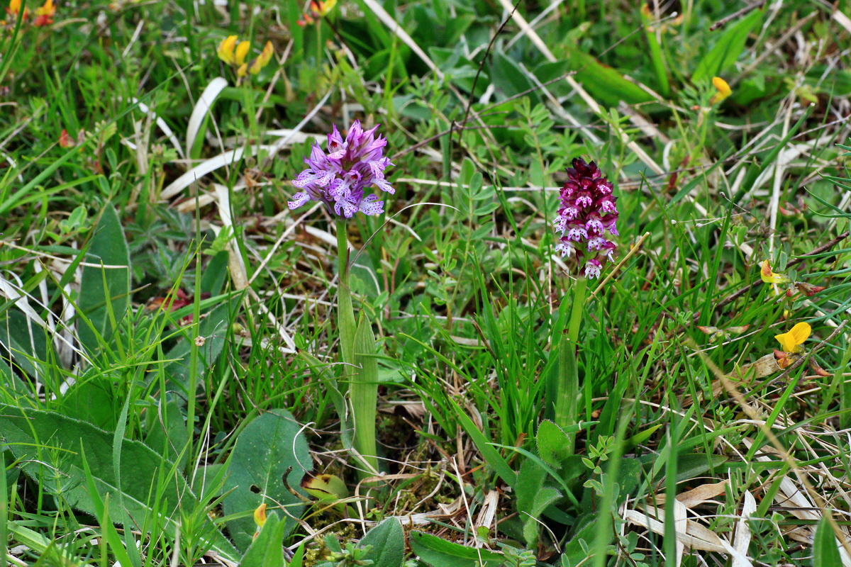 2015_05_05_00018658p_Bildgr��e �ndern