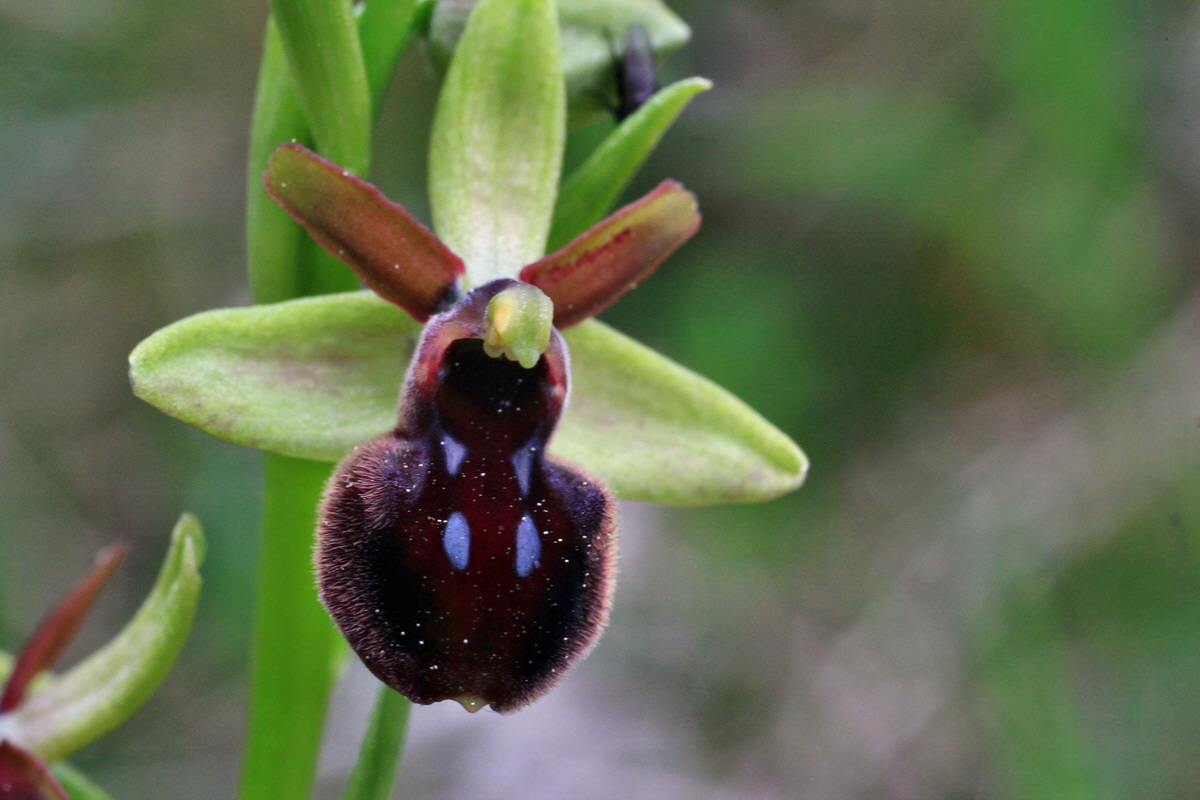 2015_05_05_00018661p_Bildgr��e �ndern