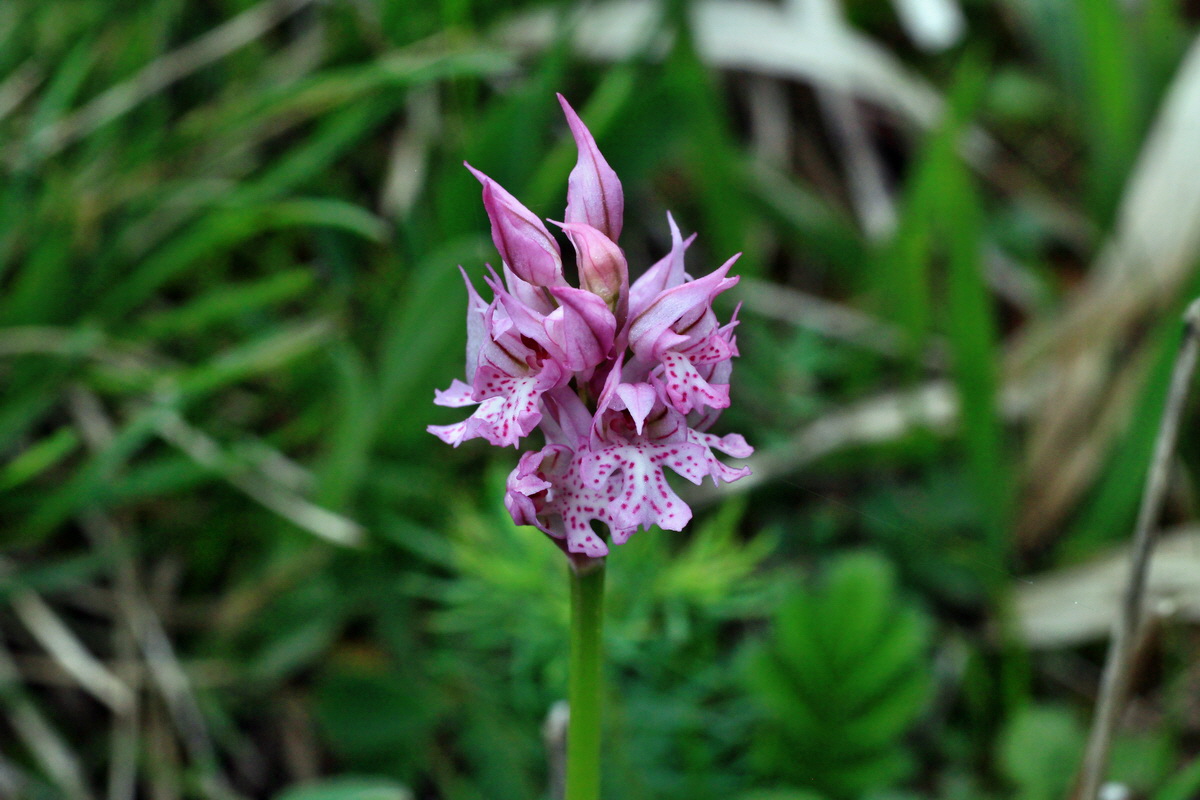 2015_05_05_00018664p_Bildgr��e �ndern