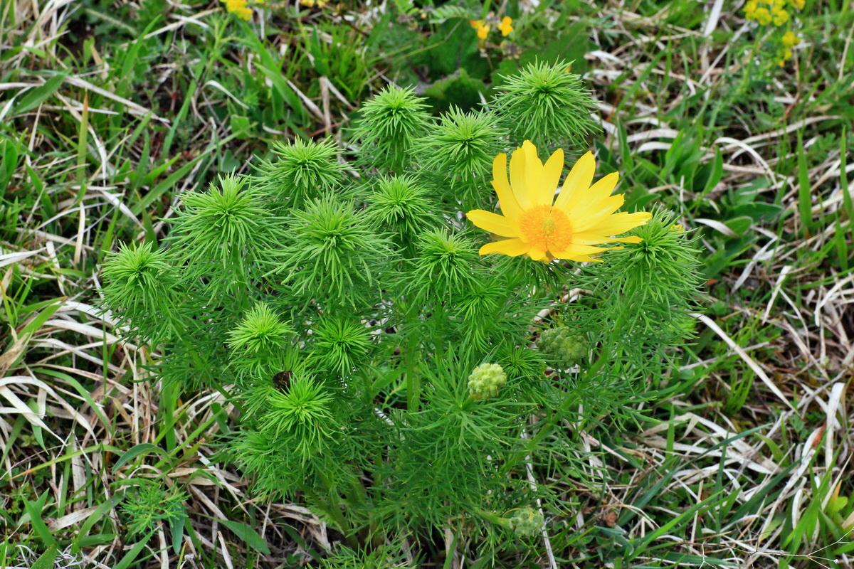 2015_05_05_00018666p_Bildgr��e �ndern